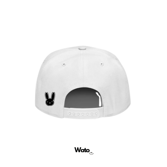Gorra - Álbum - Debí Tirar Más Fotos