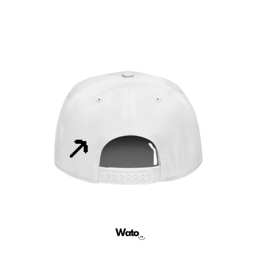 Gorra - Videojuego - Minecraft